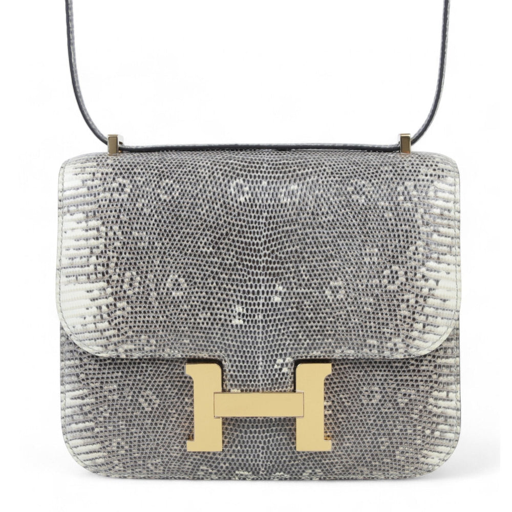 Mini 19 Ombre Lizard Leather Shoulder Bag – Gold Hardware - ArvelleParis