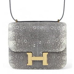 Mini 19 Ombre Lizard Leather Shoulder Bag – Gold Hardware - ArvelleParis