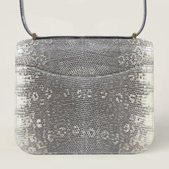 Mini 19 Ombre Lizard Leather Shoulder Bag – Gold Hardware - ArvelleParis