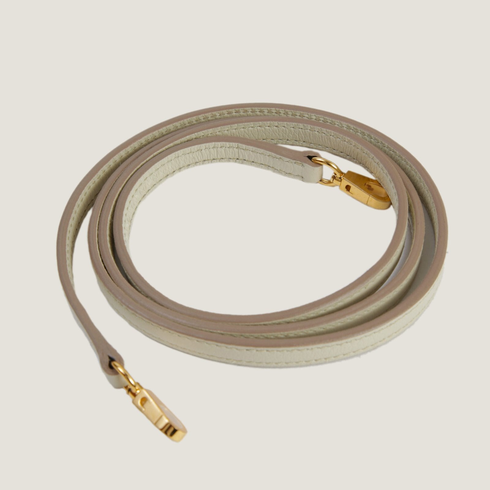 Mini Bolide 1923 Beton Evercolor Leather Handbag – Gold Hardware - ArvelleParis