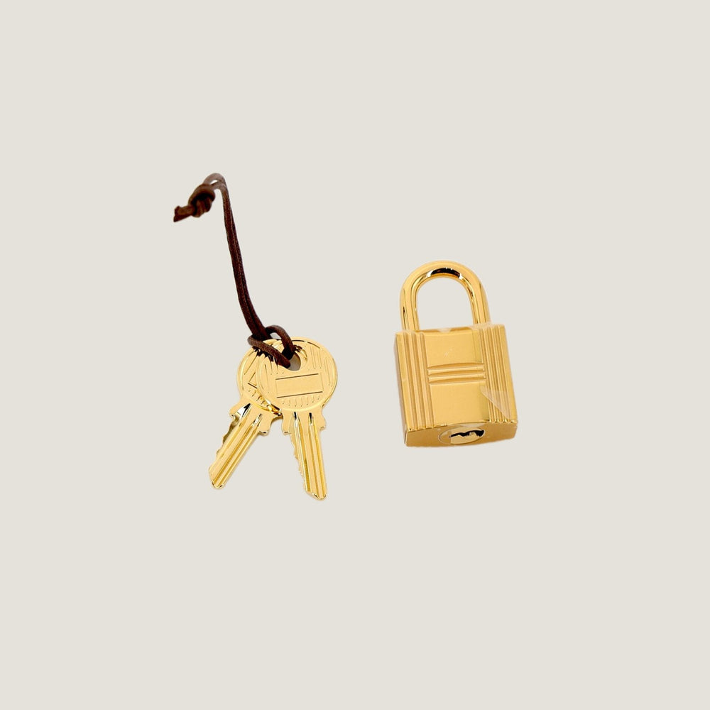 Arvelle Lock Small Champagne Gold Soft Grain Calfskin Bucket Bag - Arvelle Paris
