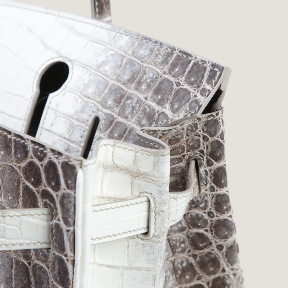 30cm Himalaya Gradient Nile Crocodile Handbag - Arvelle Paris